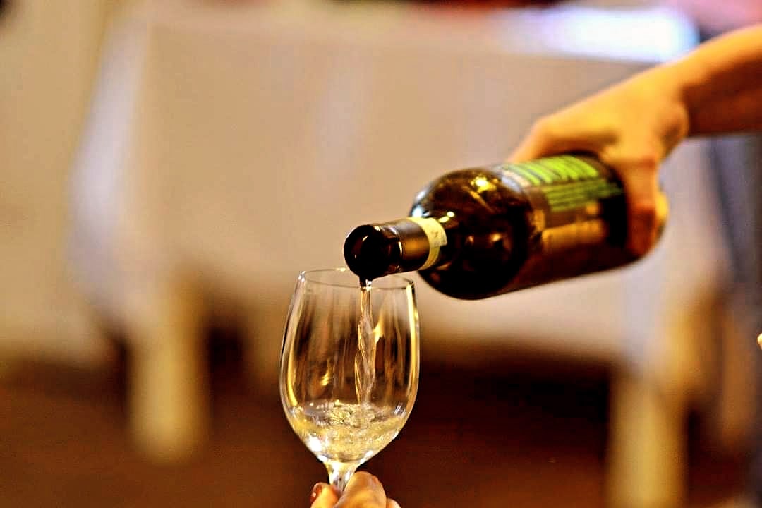 VINO HORT