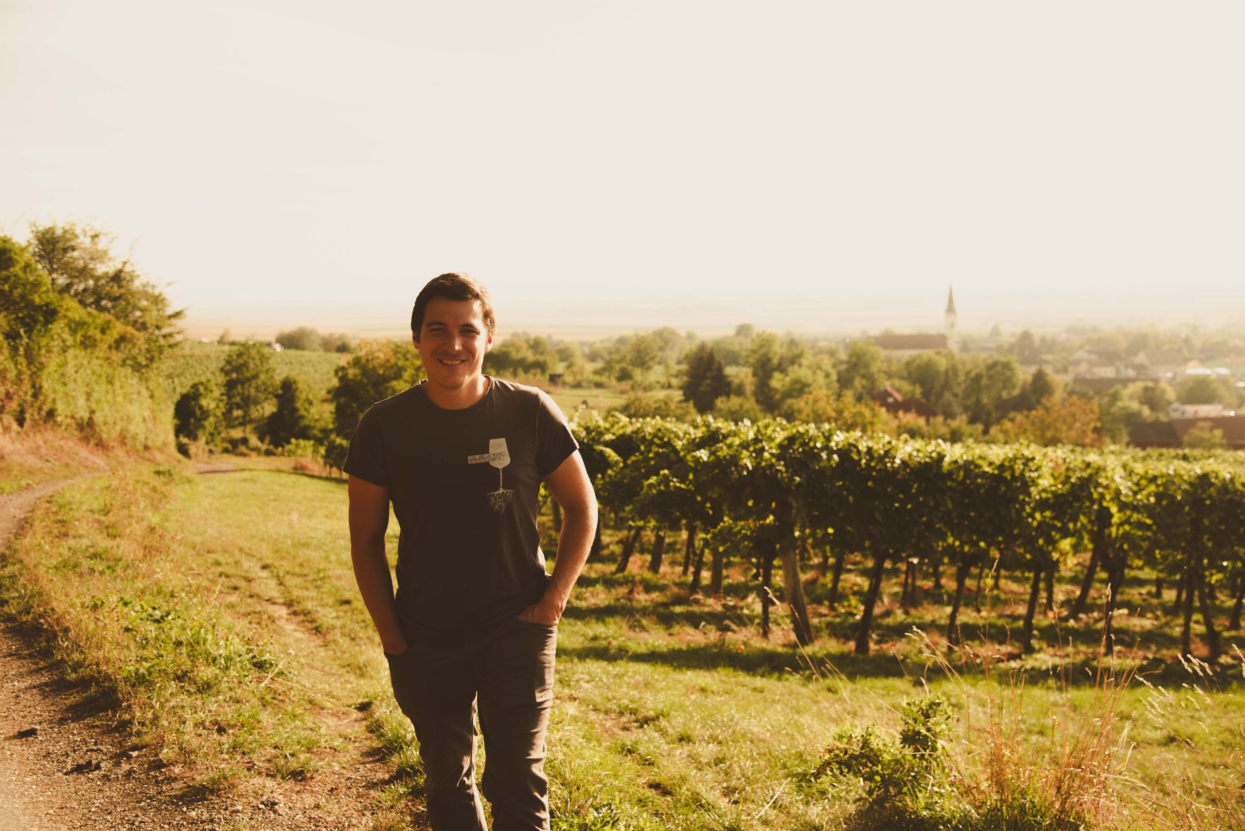 Weingut Baier