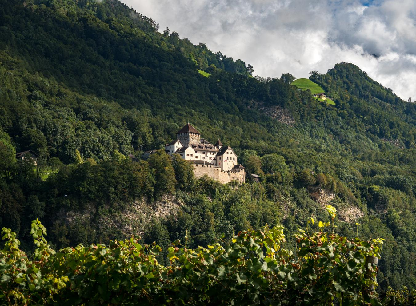 Liechtenstein Winery